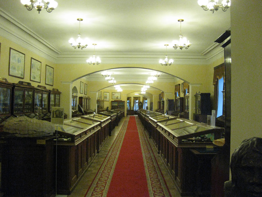 Фото Галины Никитенко